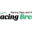 racingbreaks.webp